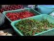 Fresh Chilli, Market 1 2252